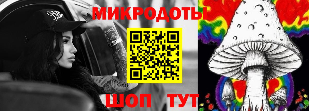 Псилоцибиновые грибы Psilocybine cubensis Ейск